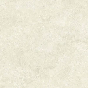 Porcelain Tile Fort Myers