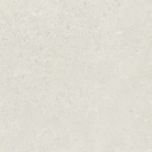 Porcelain Tile Fort Myers