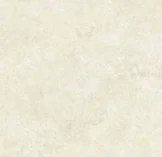 Porcelain Tile Fort Myers