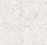 WhatsApp Image 2026 01 08 at 8.33.09 AM - Artisan Coverings